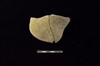 陶片藏品圖，第1張